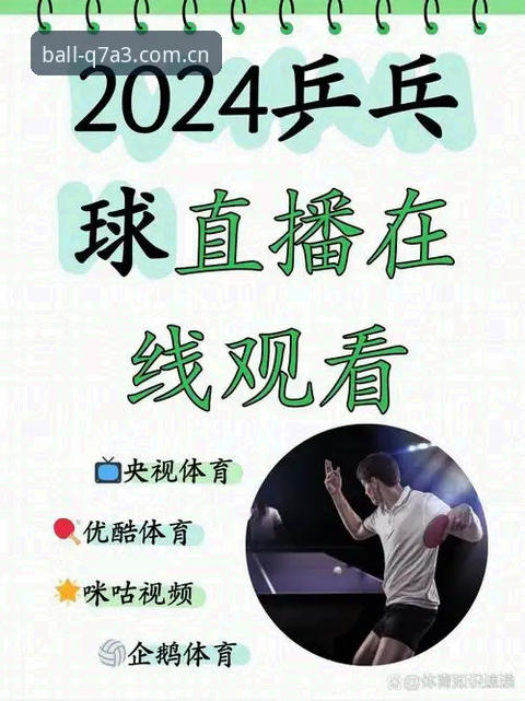 资深球迷分享：玩球体育高清直播使用指南的实战心得与深度解析